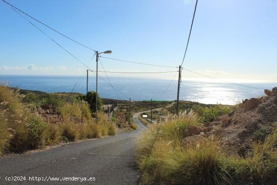 Finca caracoles - SANTA CRUZ DE TENERIFE