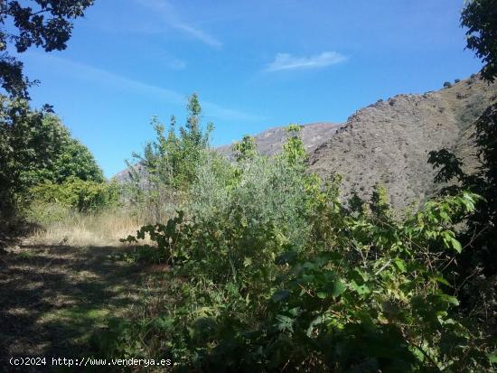 FINCA RUSTICA EN GUEJAR SIERRA (CAMINO DEL HOTEL DEL DUQUE) - GRANADA