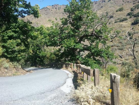 FINCA RUSTICA EN GUEJAR SIERRA (CAMINO DEL HOTEL DEL DUQUE) - GRANADA