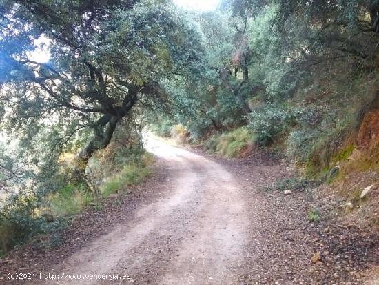 ATENCIÓN AMANTES DE LA NATURALEZA!! - GRANADA