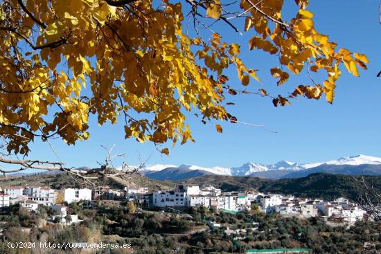 Casa en Huetor Santillan - GRANADA