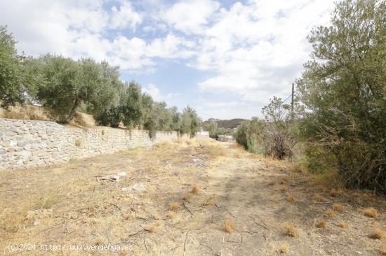 GRAN PARCELA EN HUETOR-SANTILLAN - GRANADA