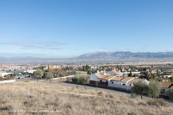 LA FINCA AL MEJOR PRECIO QUE ENCONTRARÁS EN PEDRO VERDE - GRANADA