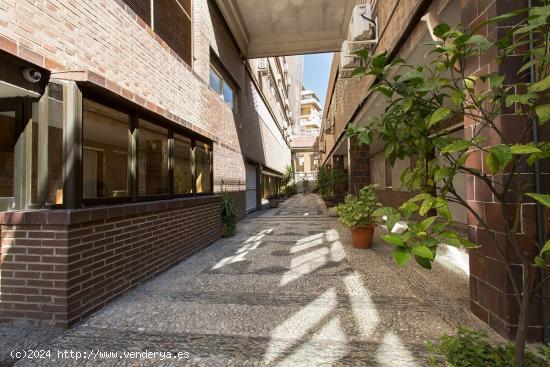 Espectacular piso en la Avenida de la Constitución - GRANADA