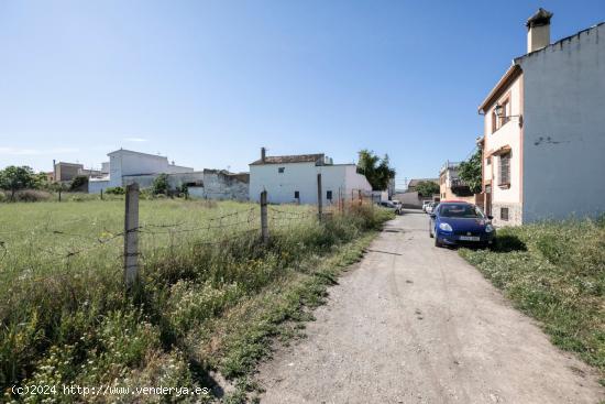 FINCAS RÚSTICAS EN PULIANAS DE 400 Y 430 M² - GRANADA