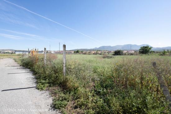 FINCAS RÚSTICAS EN PULIANAS DE 400 Y 430 M² - GRANADA