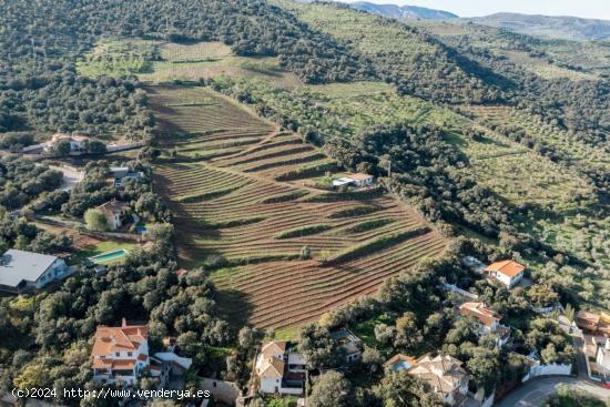 ESPECTACULAR FINCA  EN DUDAR - GRANADA