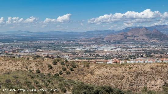 FINCA EN CORTIJO SAN JERÓNIMO (BARTODANO) - GRANADA