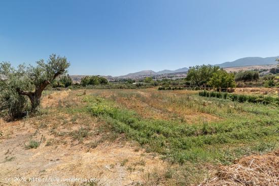 FINCA RÚSTICA EN ZONA INMEJORABLE, JUNTO C.C. ALHSUR - GRANADA