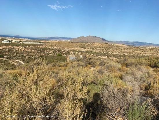 Terreno con vistas  panorámicas al mar - MURCIA