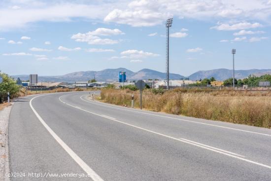 INVERSORES: LOTE DE 3 PARCELAS EN SANTA FE (GRANADA) - GRANADA