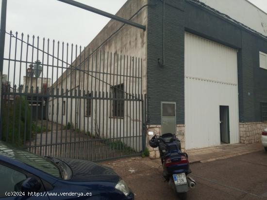 NAVE EN POLIGONO INDUSTRIAL DE BENIPARRELL (VALENCIA). - VALENCIA