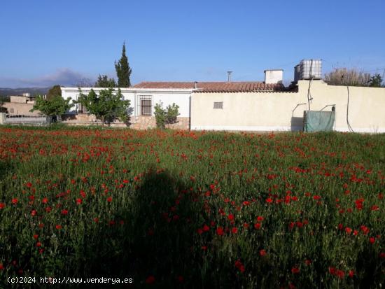 FINCA RUSTICA PARA REFORMAR en Barberá de la Conca - TARRAGONA