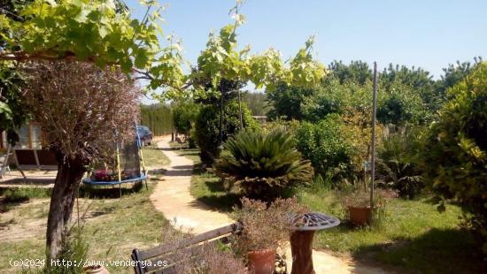 Chalet en Castellet i la Gornal zona cerca centro con tierra conrreable - BARCELONA