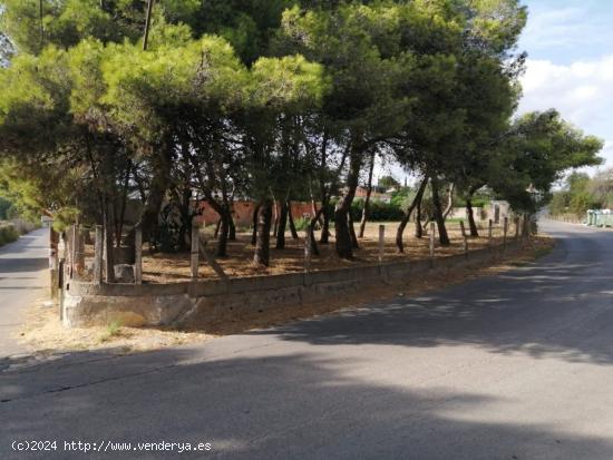 FINCA RÚSTICA EN LA FIGUERA MAS TORRAT - BARCELONA