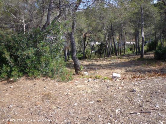 TERRENO EN URBANIZACIÓN CALIFORNIA. - BARCELONA