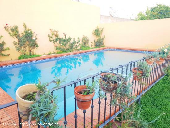 Estupendo chalet independiente  de una planta con piscina particular. - SEVILLA