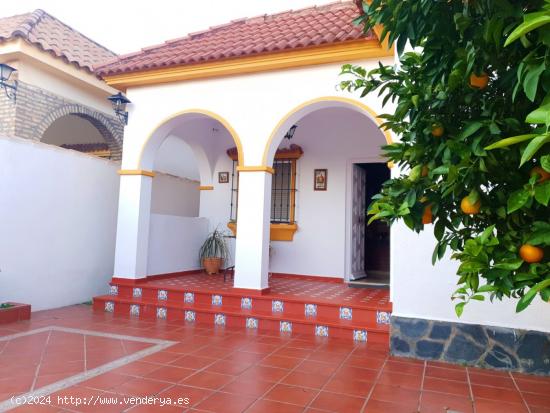 Estupendo chalet independiente  de una planta con piscina particular. - SEVILLA