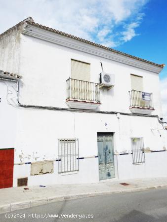 Casa, gran patio, dos terrazas y piscina al mejor precio. - SEVILLA