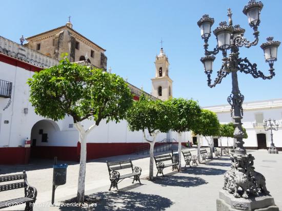 Parcela de 300 M2 y 12,5 M de fachada en el centro de Olivares, C/ Roelas. - SEVILLA