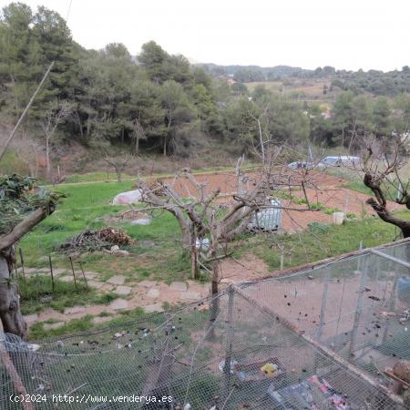 Urbanizable y totalmente plano. - BARCELONA