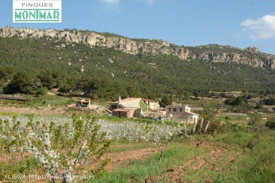 EN VENTA MASÍA CON 1.000 Ha. DE TERRENO EN VENTA. - TARRAGONA