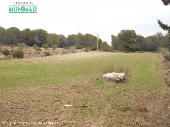 VENTA DE FINCA RUSTICA CON POZO LEGALIZADO. - BARCELONA