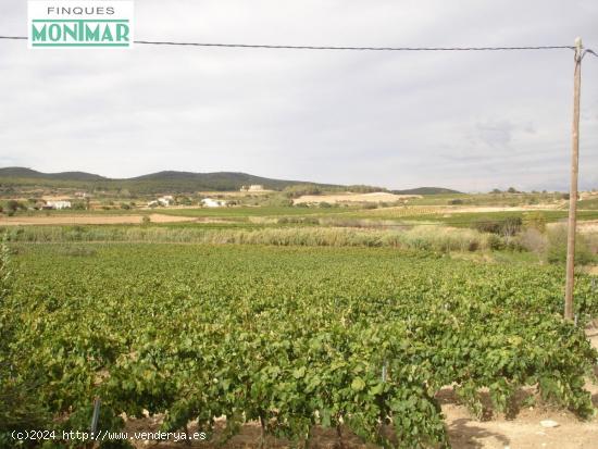 Finca Rústica con Masía y 60 Ha. en Venta en La Munia-Castellvi de la Marca de 600.000 m2. - BARCE