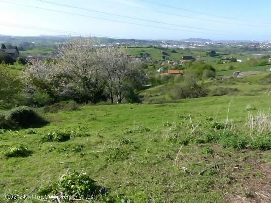 TERRENO EN LIAÑO - CANTABRIA