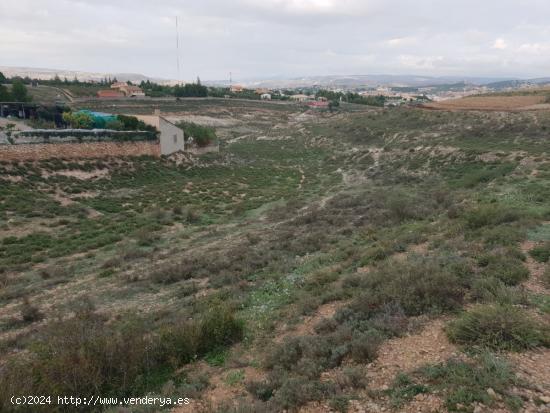 TERRENO RÚSTICO DE 6400 M2, EN PARTIDA DE LA MUELA. - TERUEL