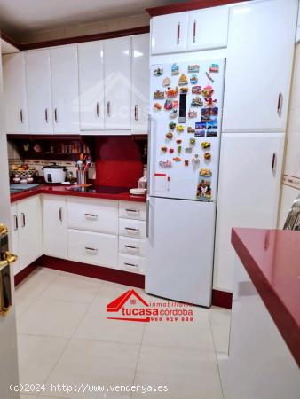 PRECIOSA VIVIENDA EN ZONA CRTA. TRASSIERRA CON PATIO PRIVADO Y ASCENSOR - CORDOBA