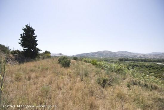 FINCA RUSTICA EN EL PUNTAL DE JARIZ - GRANADA