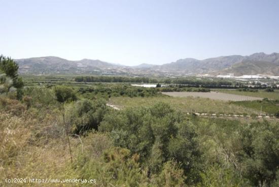 FINCA RUSTICA EN EL PUNTAL DE JARIZ - GRANADA