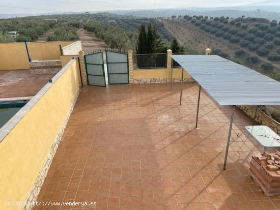 PRECIOSA FINCA RÚSTICA CON CHALET INCLUIDO CON UNOS 200M² DE SUPERFICIE DE VIVIENDA. - GRANADA