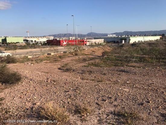 Parcela en zona Centros Comerciales - MURCIA