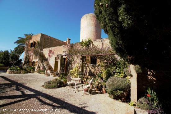 Carismático molino mallorquín de 1920 con vistas al mar - BALEARES