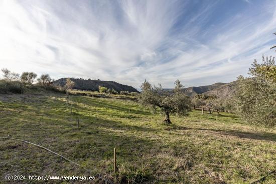 Finca rústica en Monachil - GRANADA