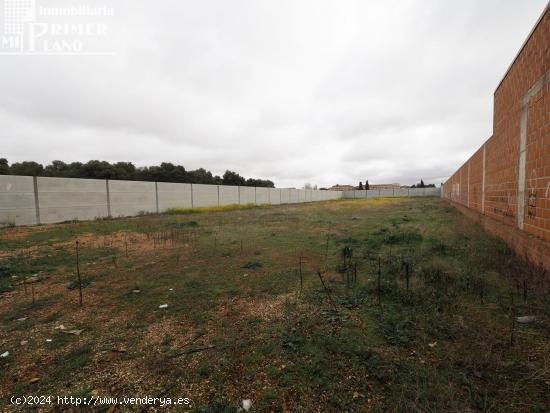 Se vende solar en Tomelloso con 3250m2 de superficie y 25 de fachada - CIUDAD REAL