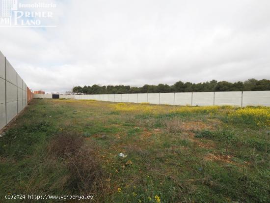 Se vende solar en Tomelloso con 3250m2 de superficie y 25 de fachada - CIUDAD REAL