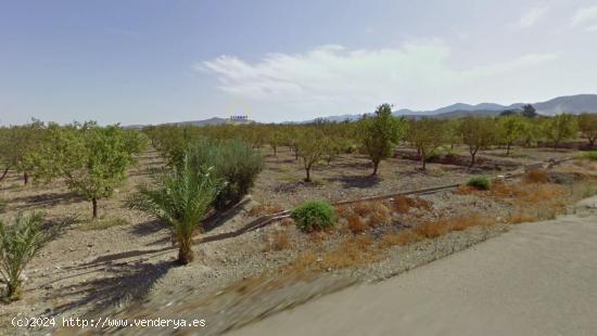 PARCELA EN CAZALLA A 10 MINUTOS DEL CENTRO - MURCIA