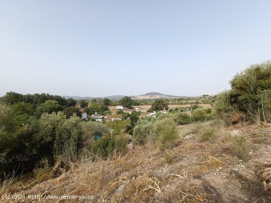  VENTA PARCELA ALREDEDORES DE EL BOSQUE - CADIZ 