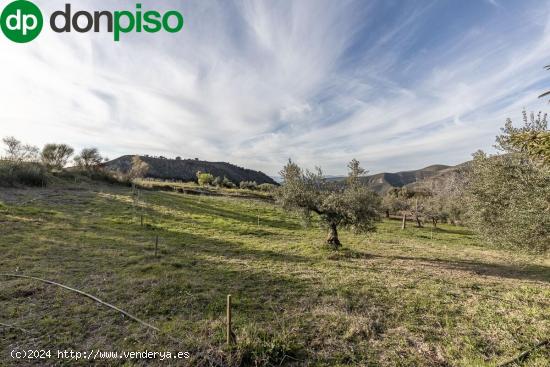 Finca rústica en Monachil - GRANADA