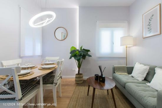 Apartamento entero de 1 habitaciones en Madrid - MADRID