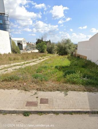 SOLAR PARA CONSTRUIR EN VILLAFRANCA - BALEARES