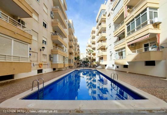 Céntrico apartamento con piscina y plaza de aparcamiento - ALICANTE