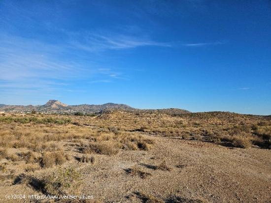 Parcelas con grandes posiblidades para negocio o casa de campo - ALICANTE