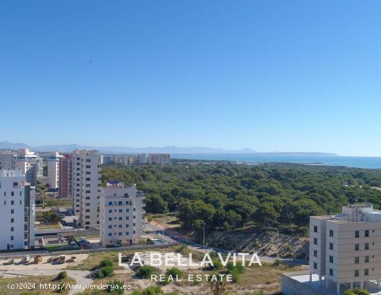 Se Vende en Guardamar del Segura - ALICANTE