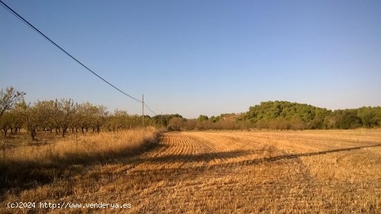  Suelo rústico en venta  en Horta de Sant Joan - Tarragona 