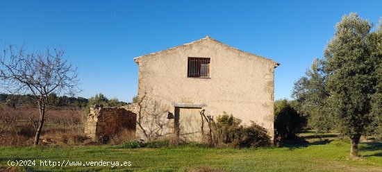 Suelo rústico en venta  en Arens de Lledo - Teruel