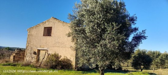 Suelo rústico en venta  en Arens de Lledo - Teruel